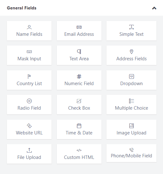 WP Fluent Form general input fields.