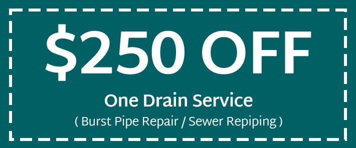one drain service coupon
