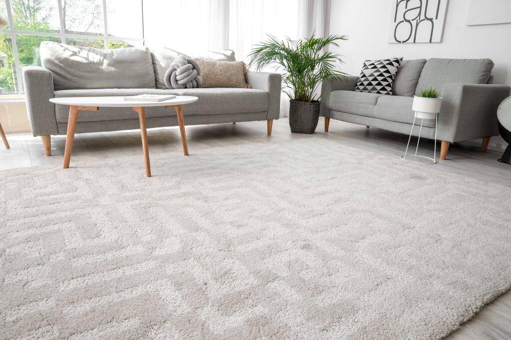 Stylish interior of living room with carpet and sofas