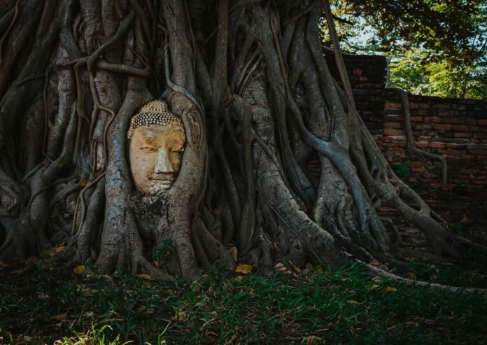 Rovine al parco storico di Ayutthaya -Thailandia 2024