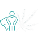 Cannabis buds and leaves from Michigrown on a gray background.