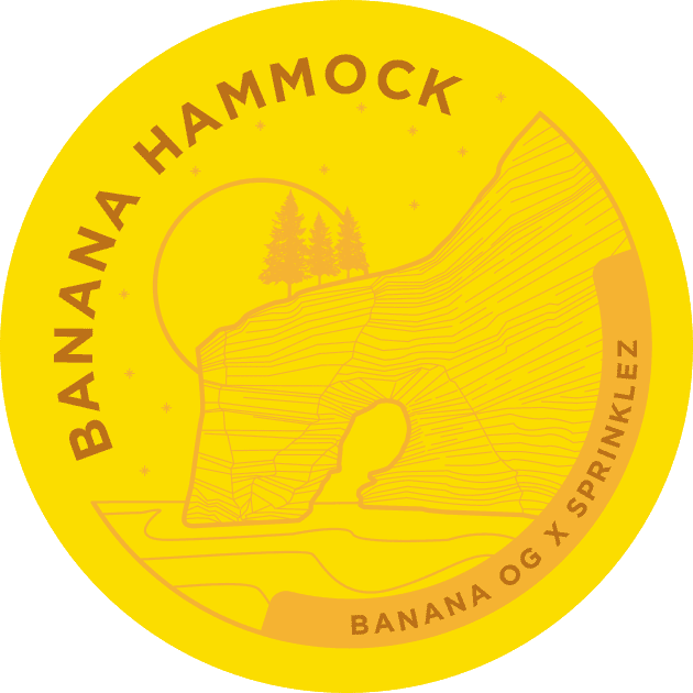 Banana Hammock
