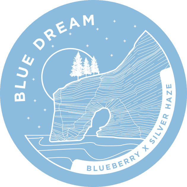 Blueberry x Silver Haze cannabis strain logo with mountain and trees design.