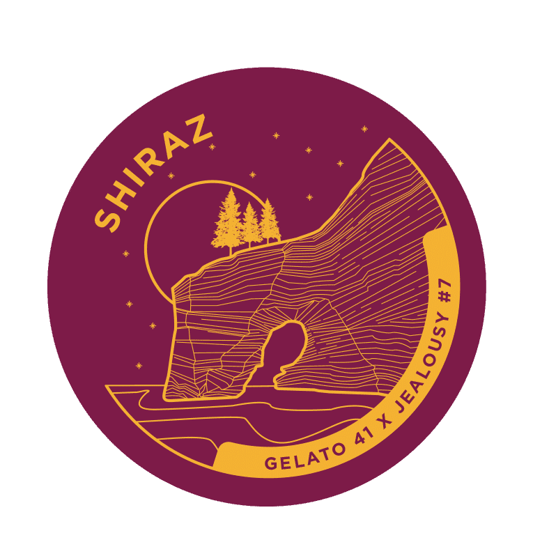 Shiraz