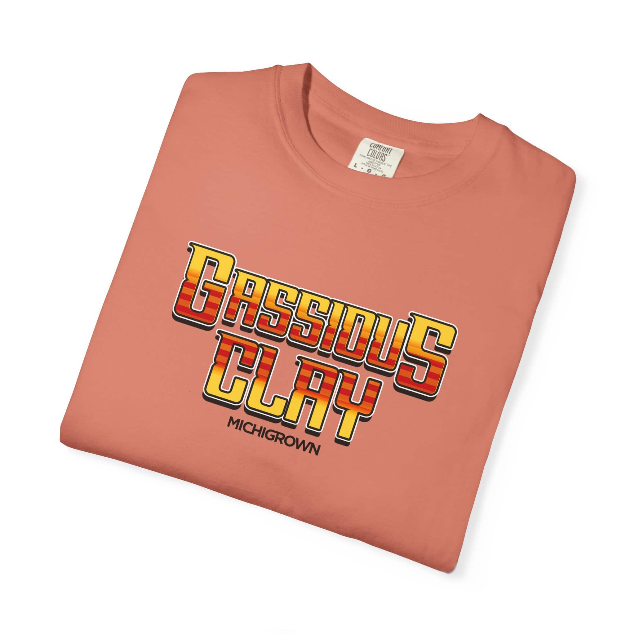 Pink Gassious Clay T-shirt with bold text design for Michigan fans.
