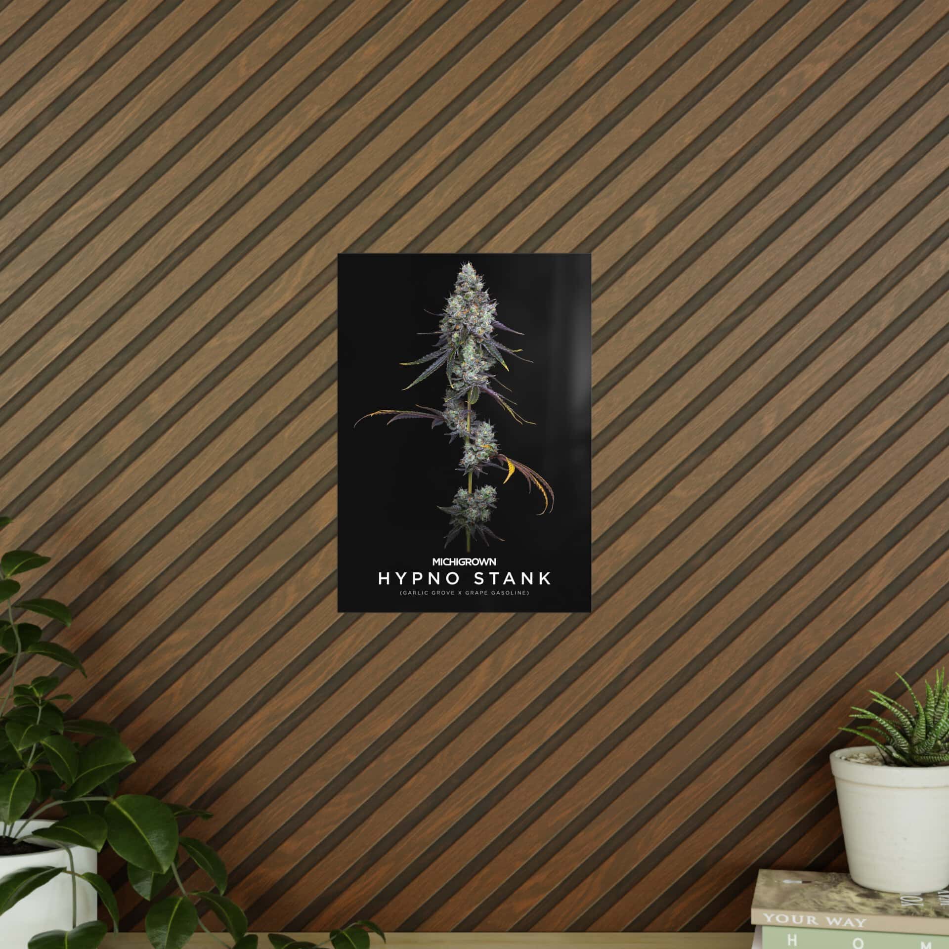 Hypno Stank poster featuring a cannabis plant on a black background.
