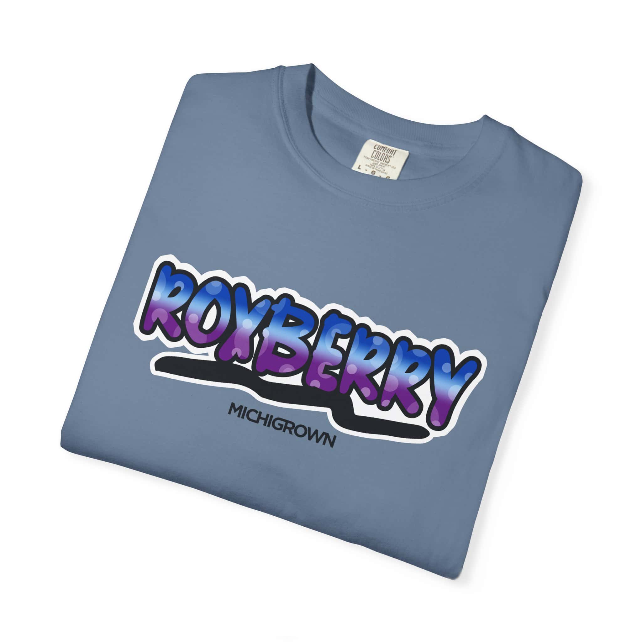 Light blue Roxberry T-shirt with colorful logo and Michigrown branding.