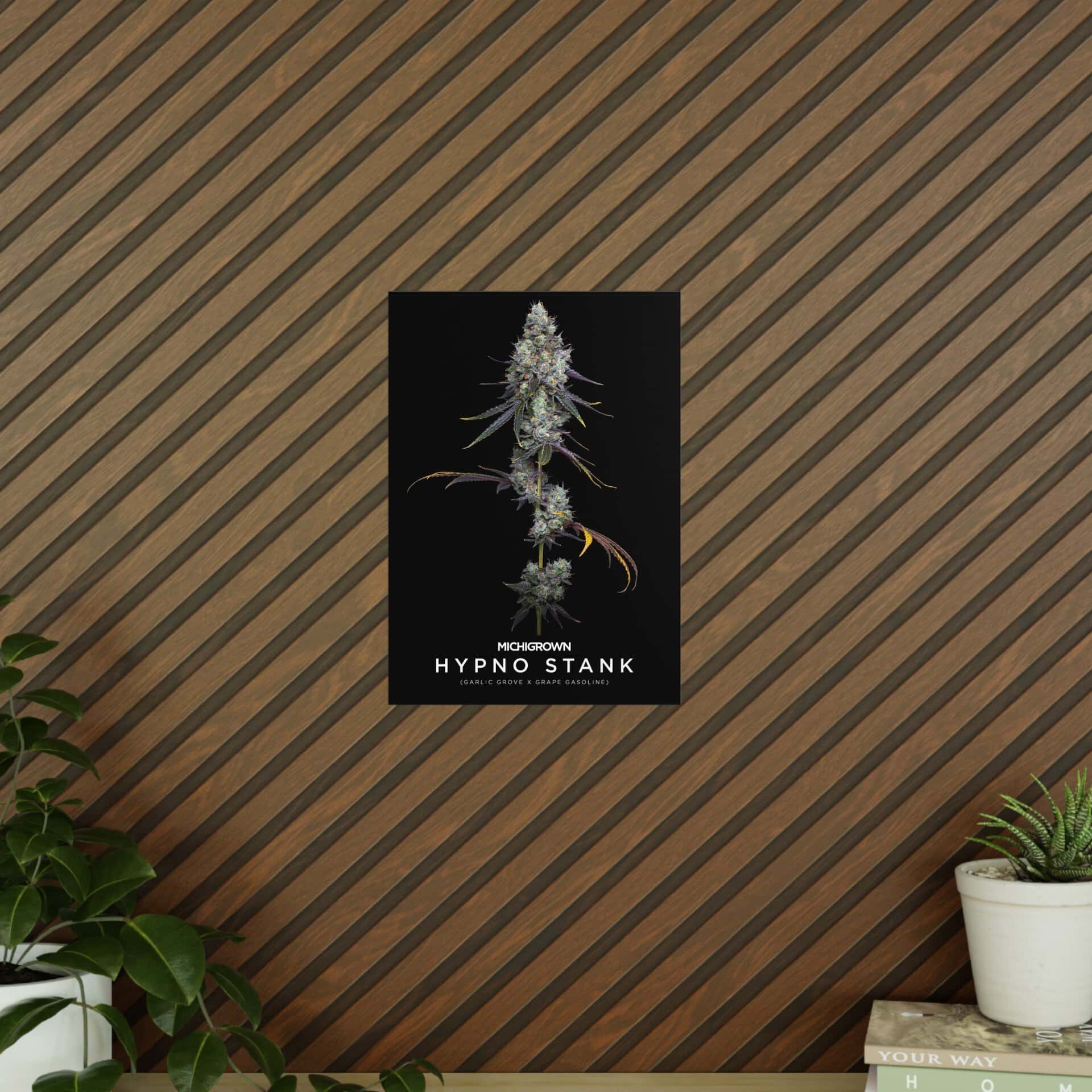 Hypno Stank poster featuring a cannabis bud on a black background.
