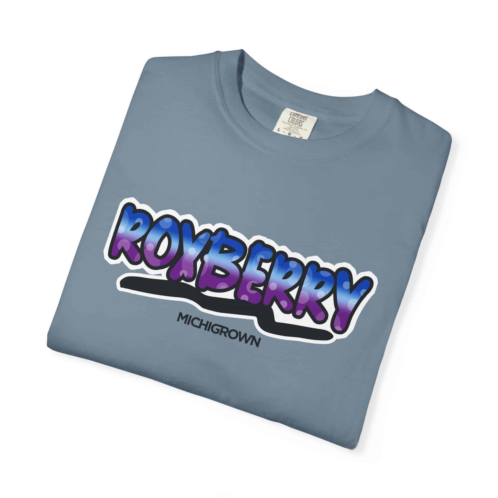 Light blue Roxberry T-shirt with bold purple and blue text logo.