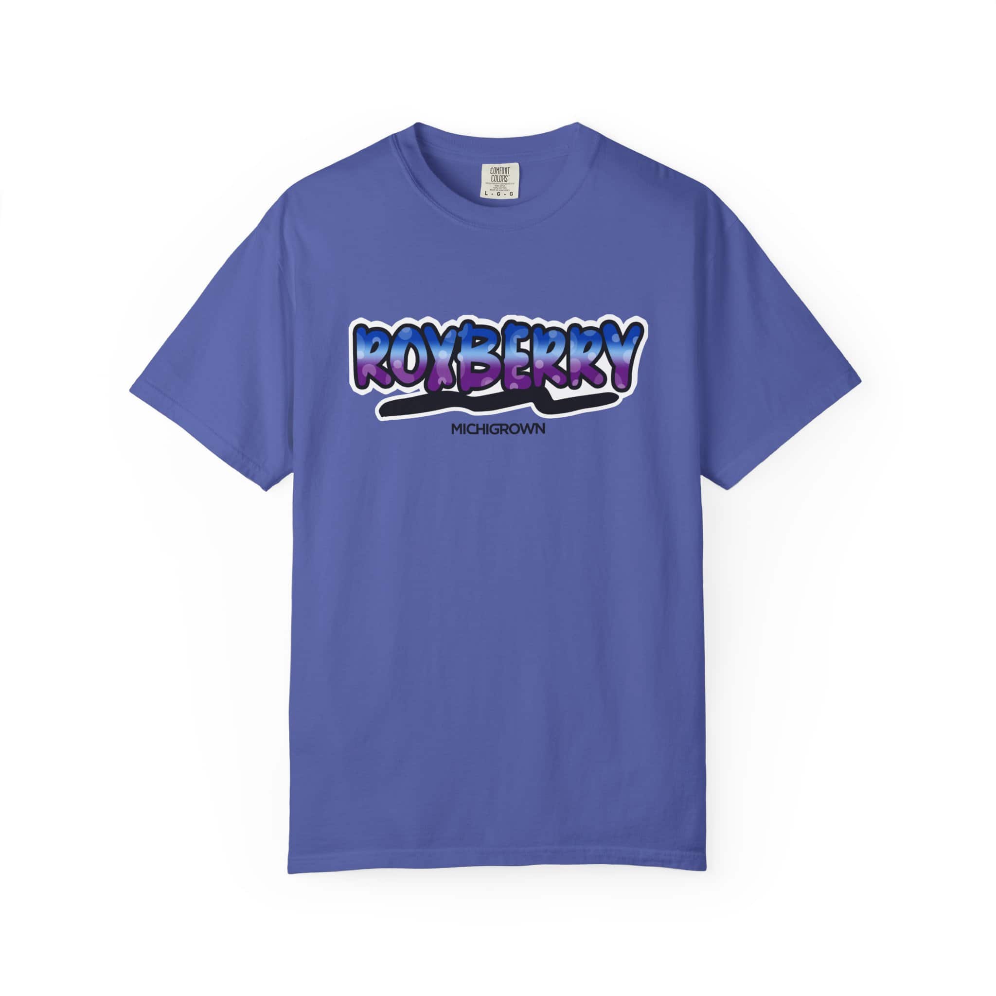 Blue Roxberry T-shirt with graphic logo for men.