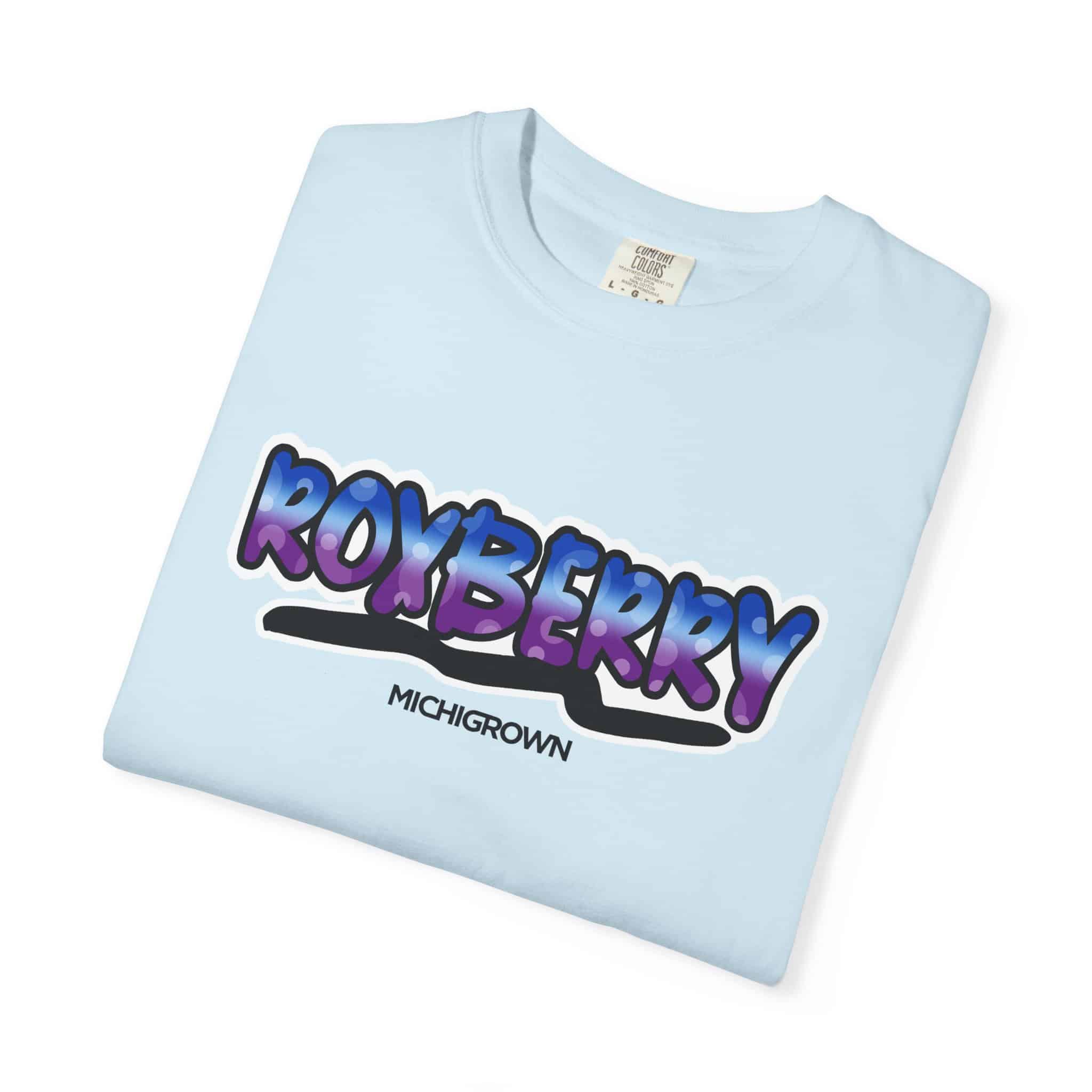 Light blue Roxberry T-shirt with bold purple and blue text logo.