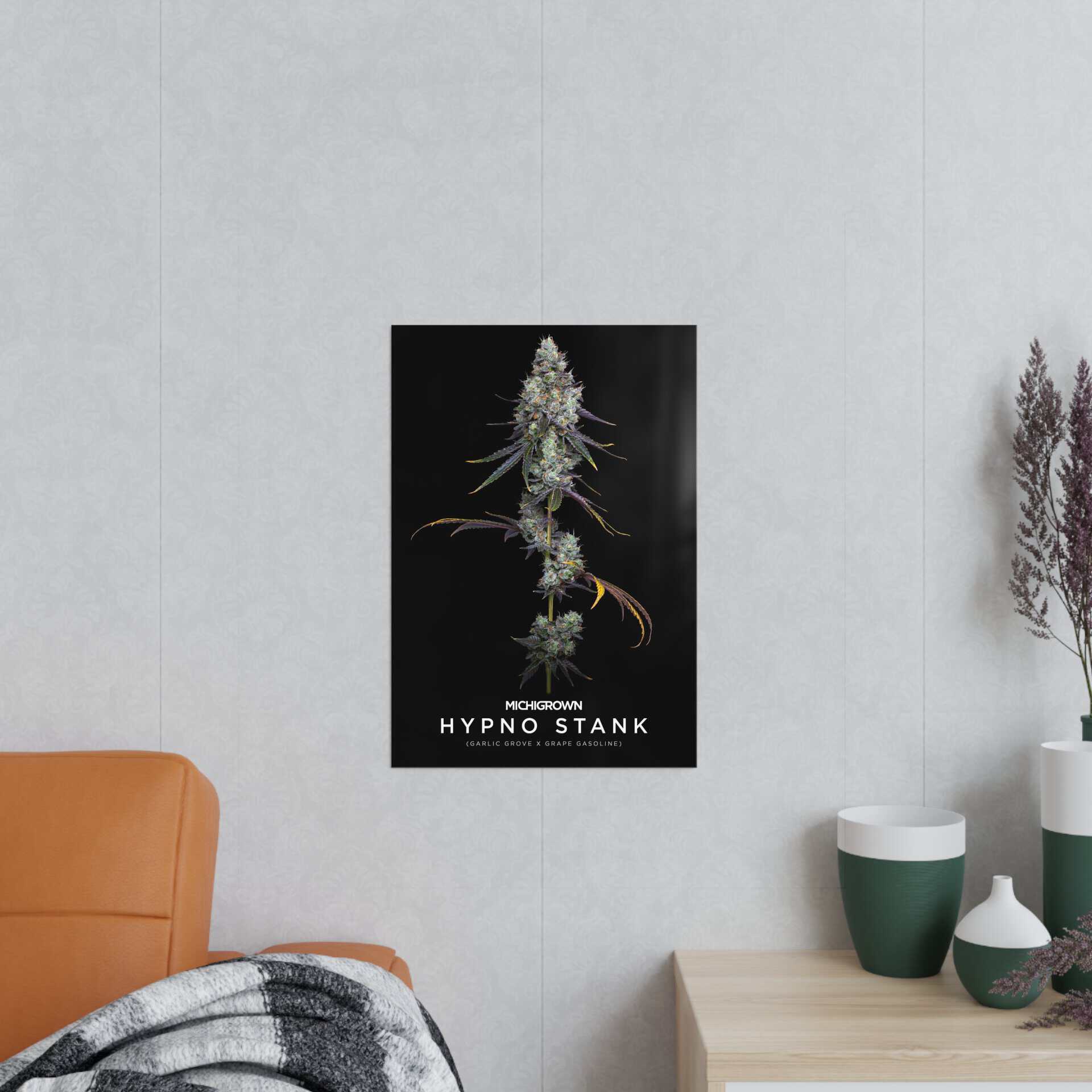 High-quality Hypno Stank poster featuring cannabis imagery on a wall.