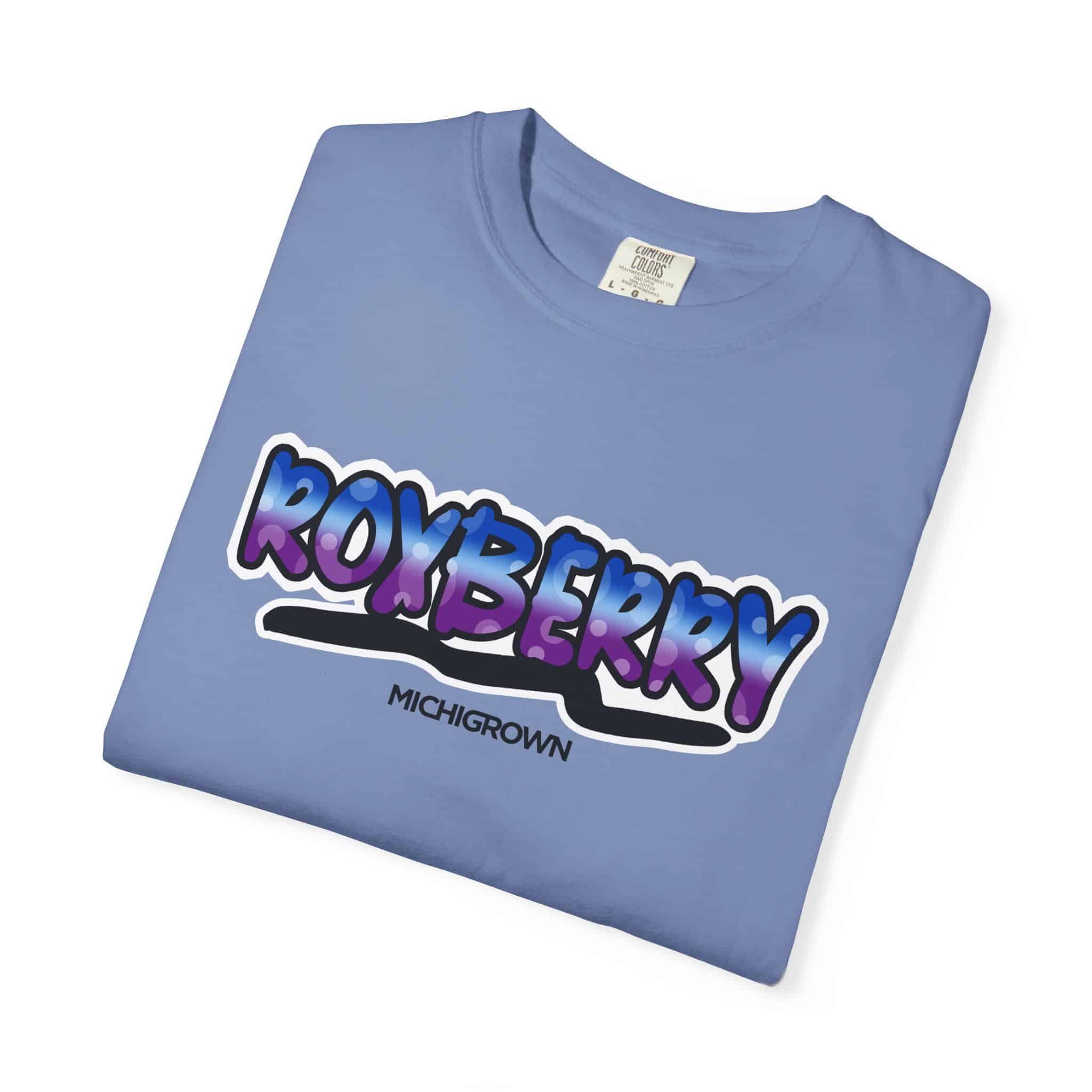 Light blue Roxberry T-shirt with bold purple and blue text logo.