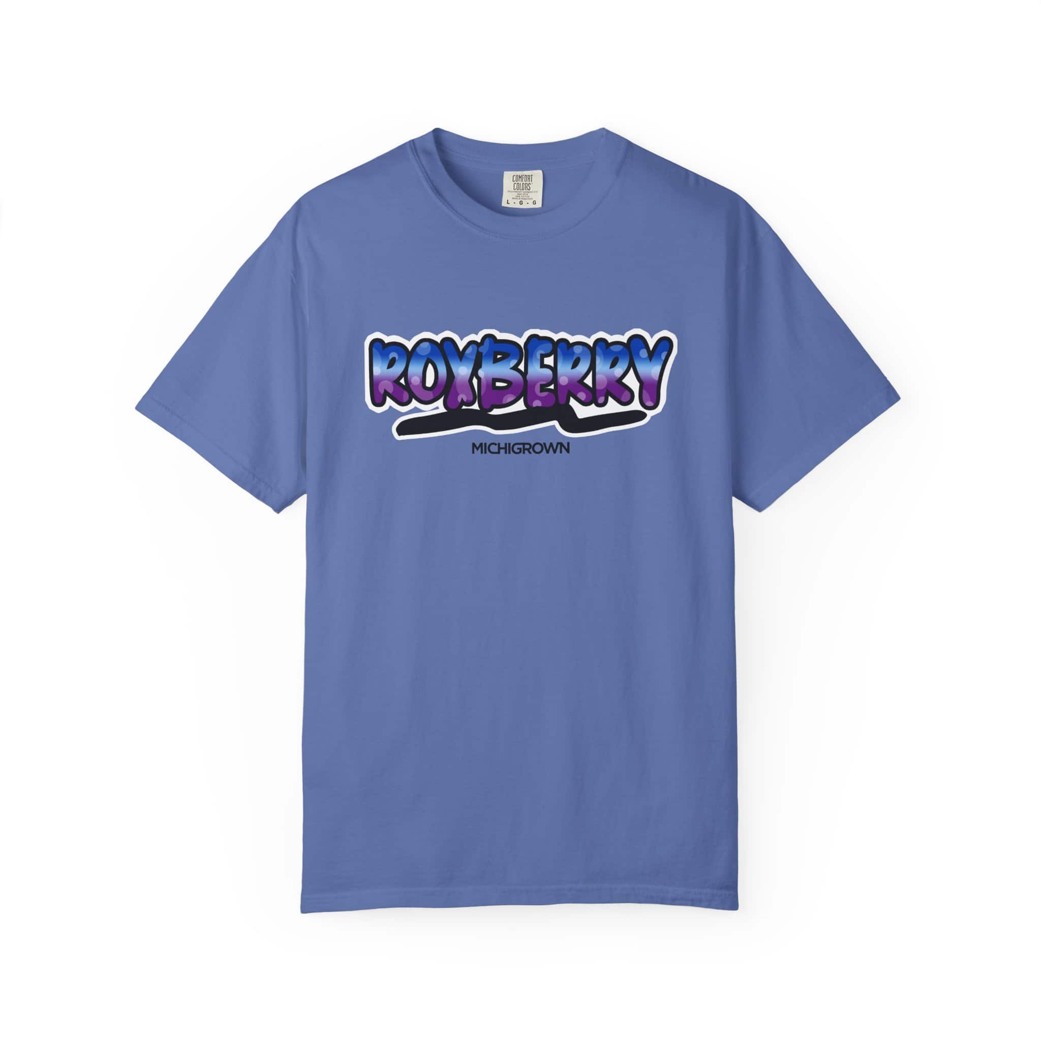 Blue Roxberry T-shirt with graphic logo for men.