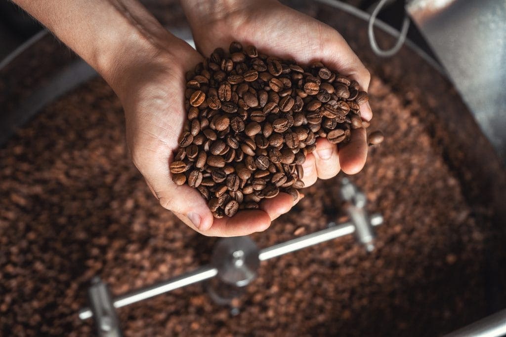 Hand holding roasted coffee beans over a coffee roasting machine.