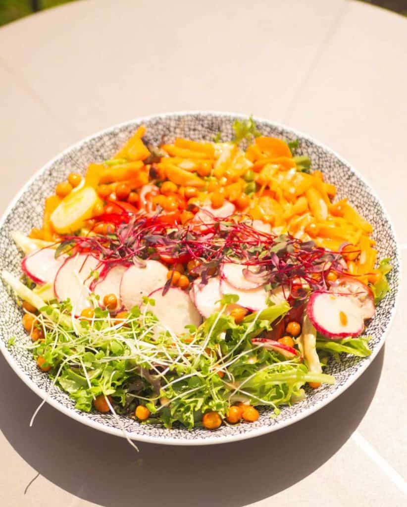 Healthy vegetable salad with radishes, microgreens, and colorful mixed greens.