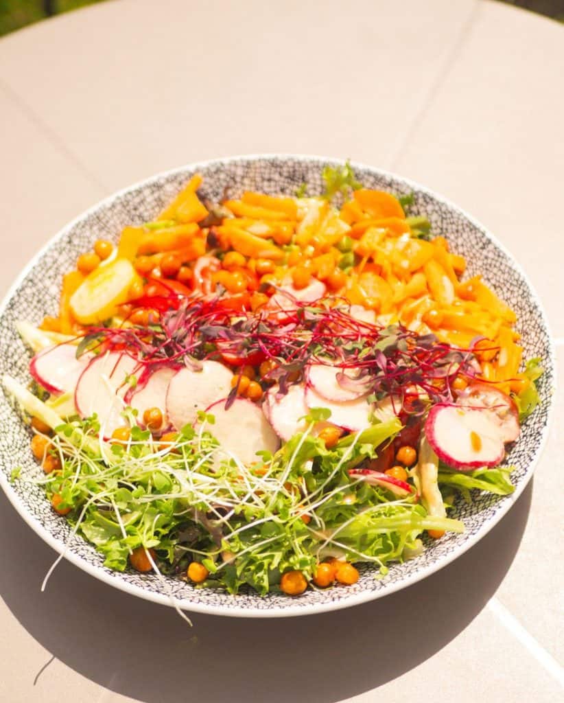 Fresh vegetable salad with radishes, greens, and colorful toppings.