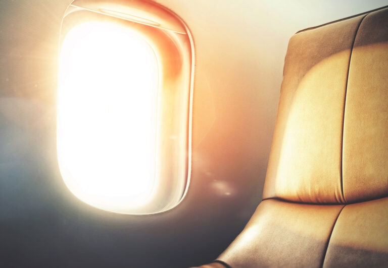 aviation leather - aircraft leather