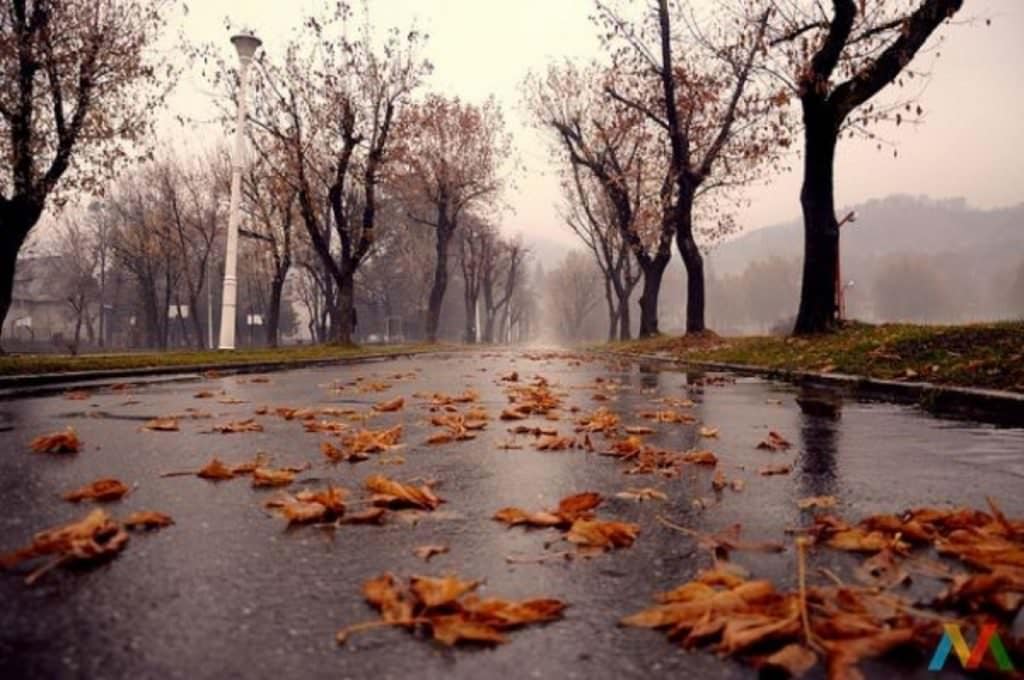 toamna vremea ploaie