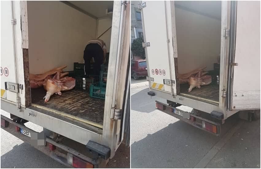 carne transport sibiu