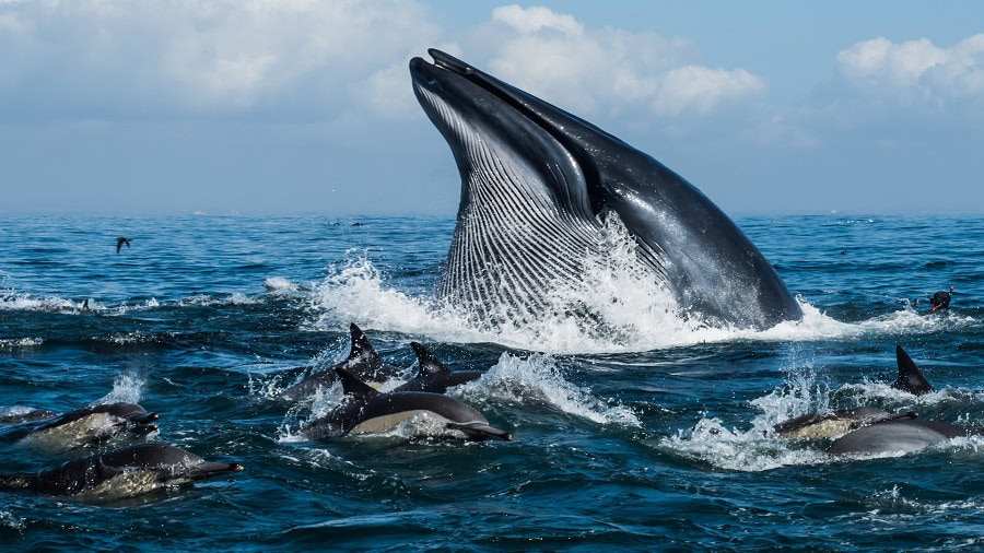 Coup de cœur du jury. © Claudia Weber-Gebert