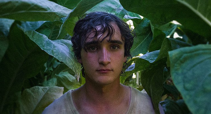 New York Film Festival 2018