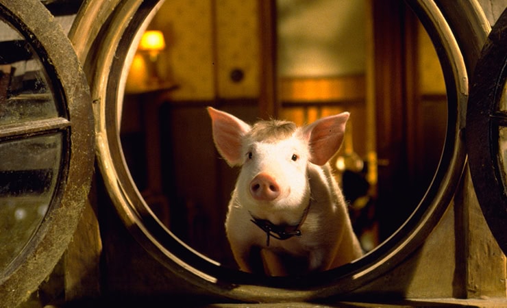 The 10 Best Films of 1998
