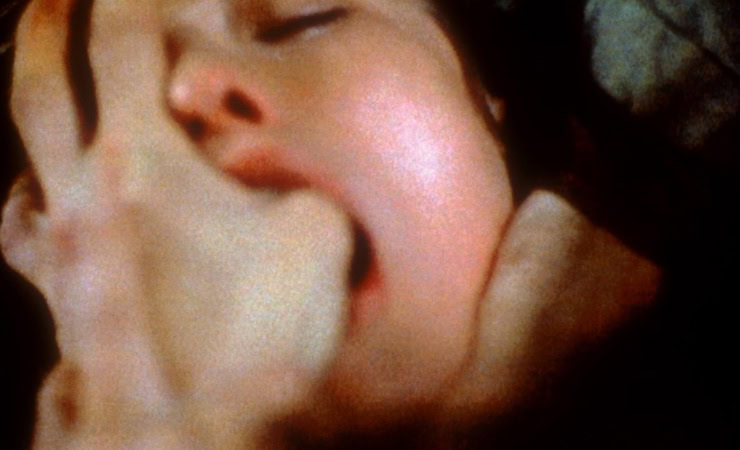 The 10 Best Films of 1998