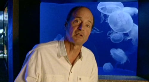 Werner Herzog