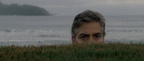 The Descendants