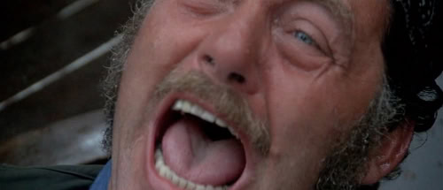 Jaws