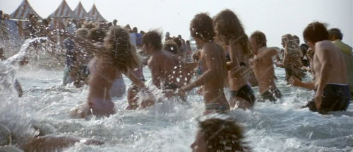 Jaws