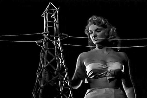 Attack of the 50 Foot Woman