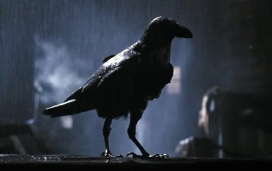 The Crow