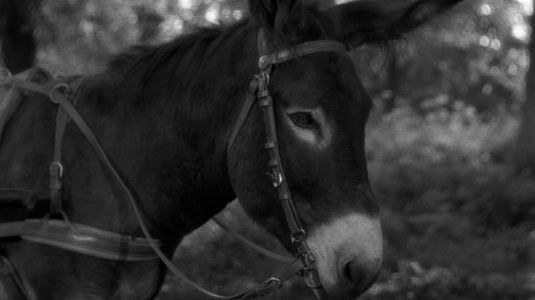 Au Hasard Balthazar