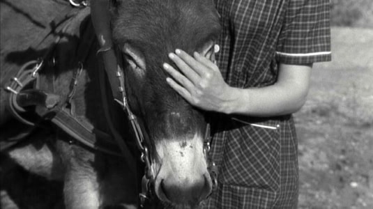 Au Hasard Balthazar