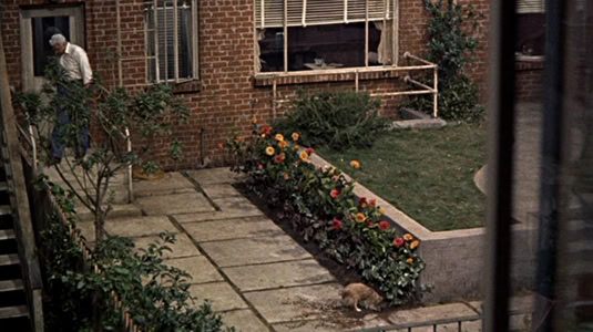 Rear Window