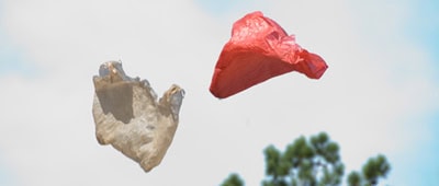 Plastic Bag