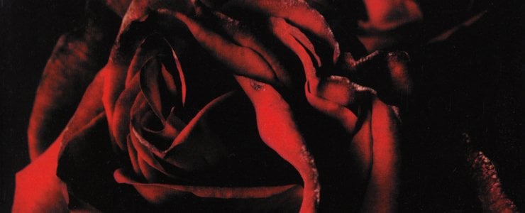 The Best Albums & Singles of 2006