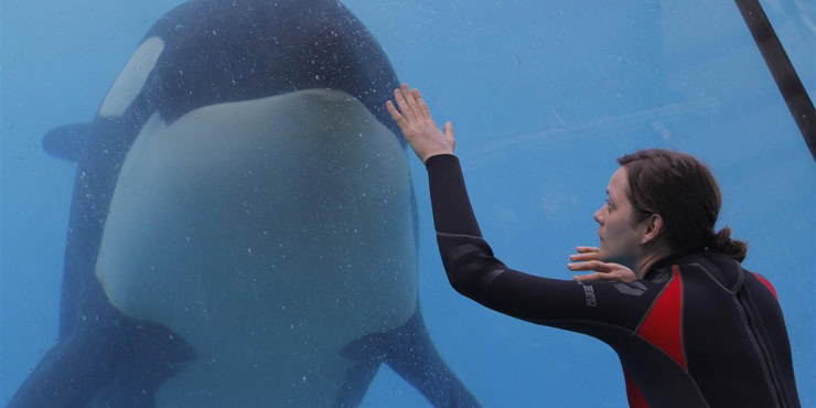 Rust and Bone