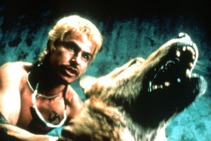Amores Perros