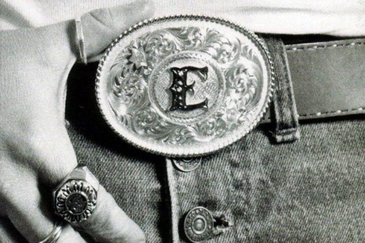Melissa Etheridge, Skin
