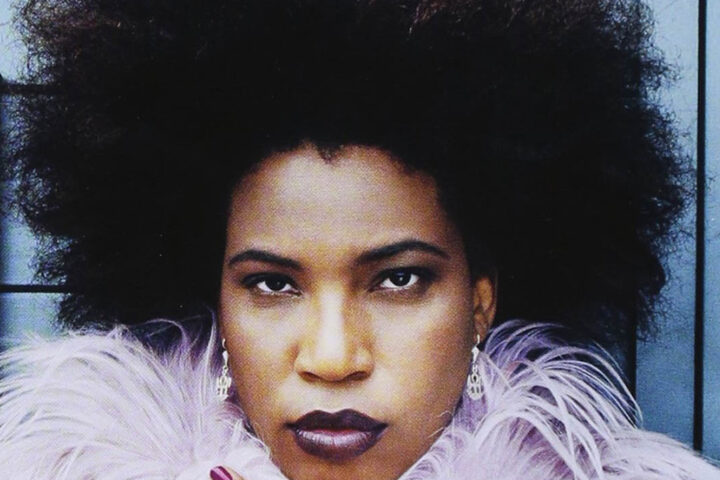 Macy Gray, The Id
