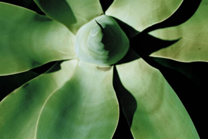 Depeche Mode, Exciter