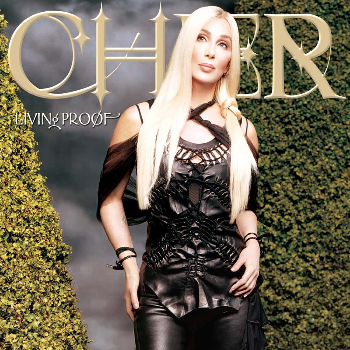 Cher, Living Proof