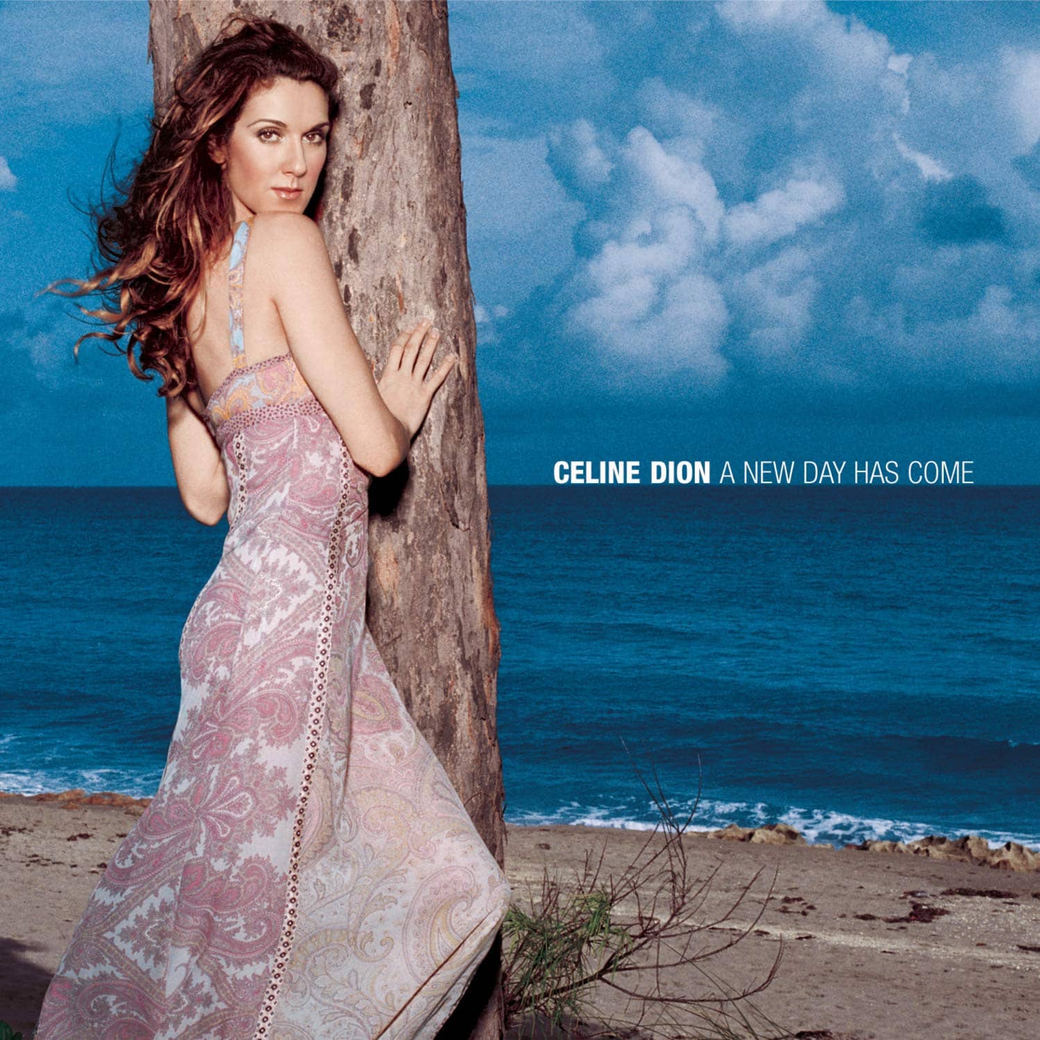 Celine Dion, A New Day Has Come