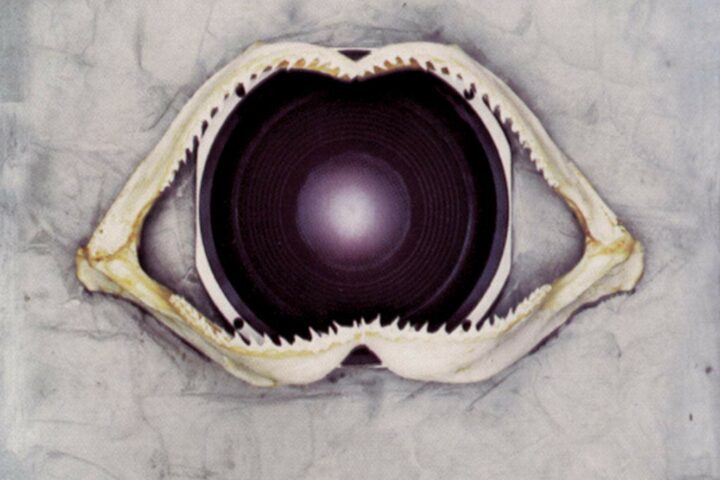 Leftfield, Leftism