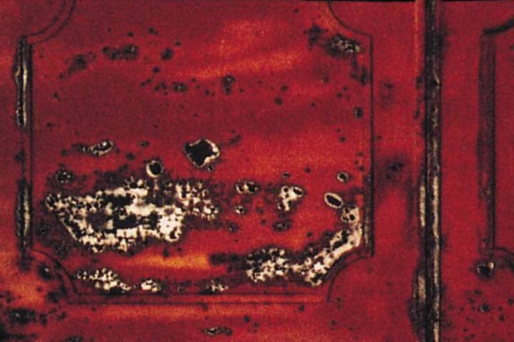Tricky, Maxinquaye