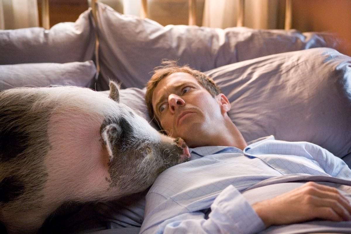 Katija Pevec Archives - Slant Magazine, image size:1200x800