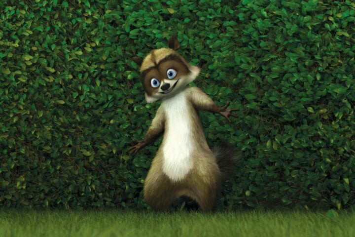 Over the Hedge